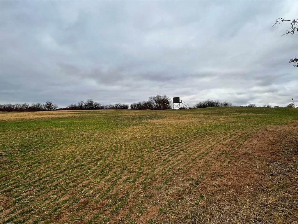 370 acres in Jones County gallery image 2