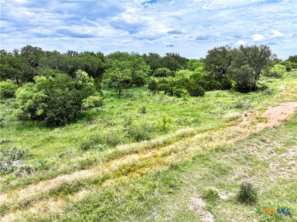 10.01 acres in San Saba County gallery image 4