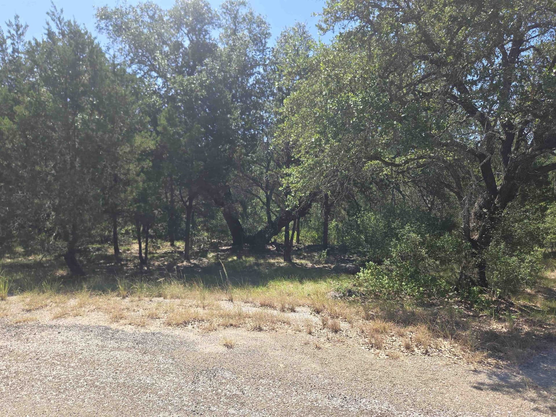 0.25 acres in Burnet County gallery image 3