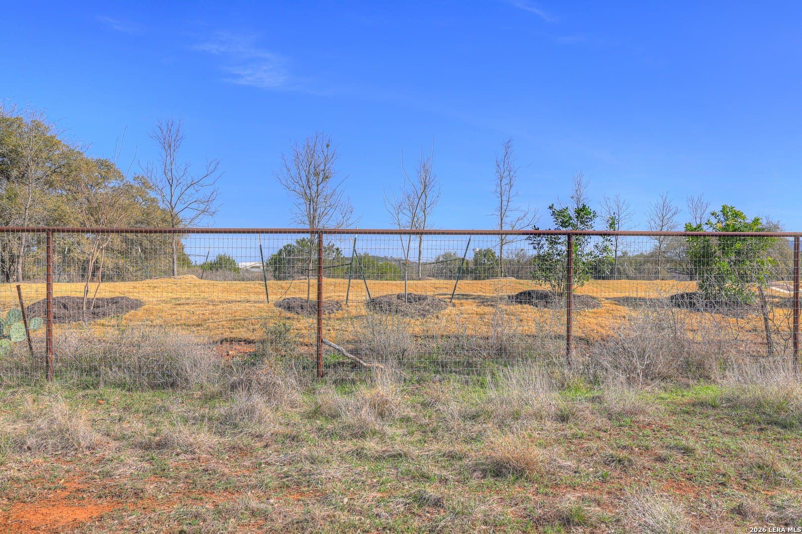 1.79 acres in Comal County - photo 19