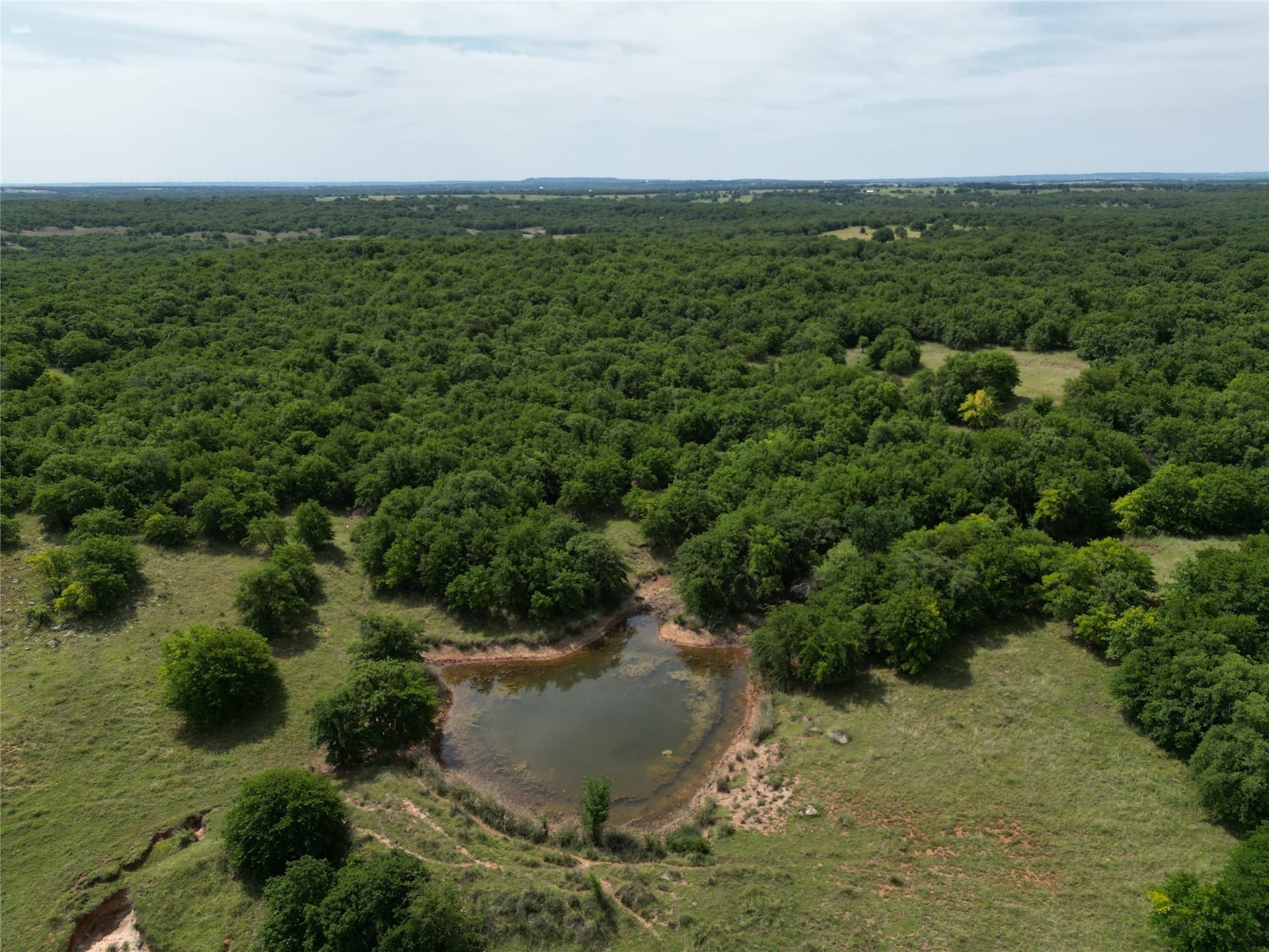 440.18 acres in Montague County gallery image 3