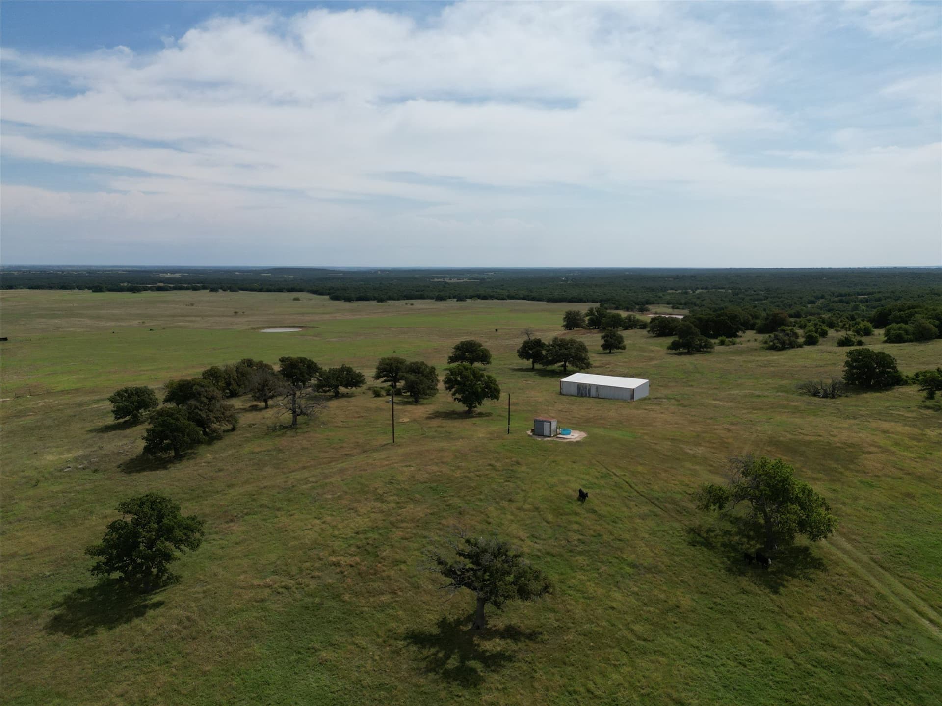 440.18 acres in Montague County featured view