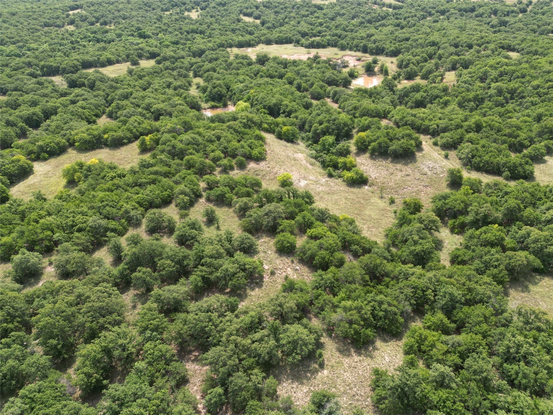 440.18 acres in Montague County - photo 8