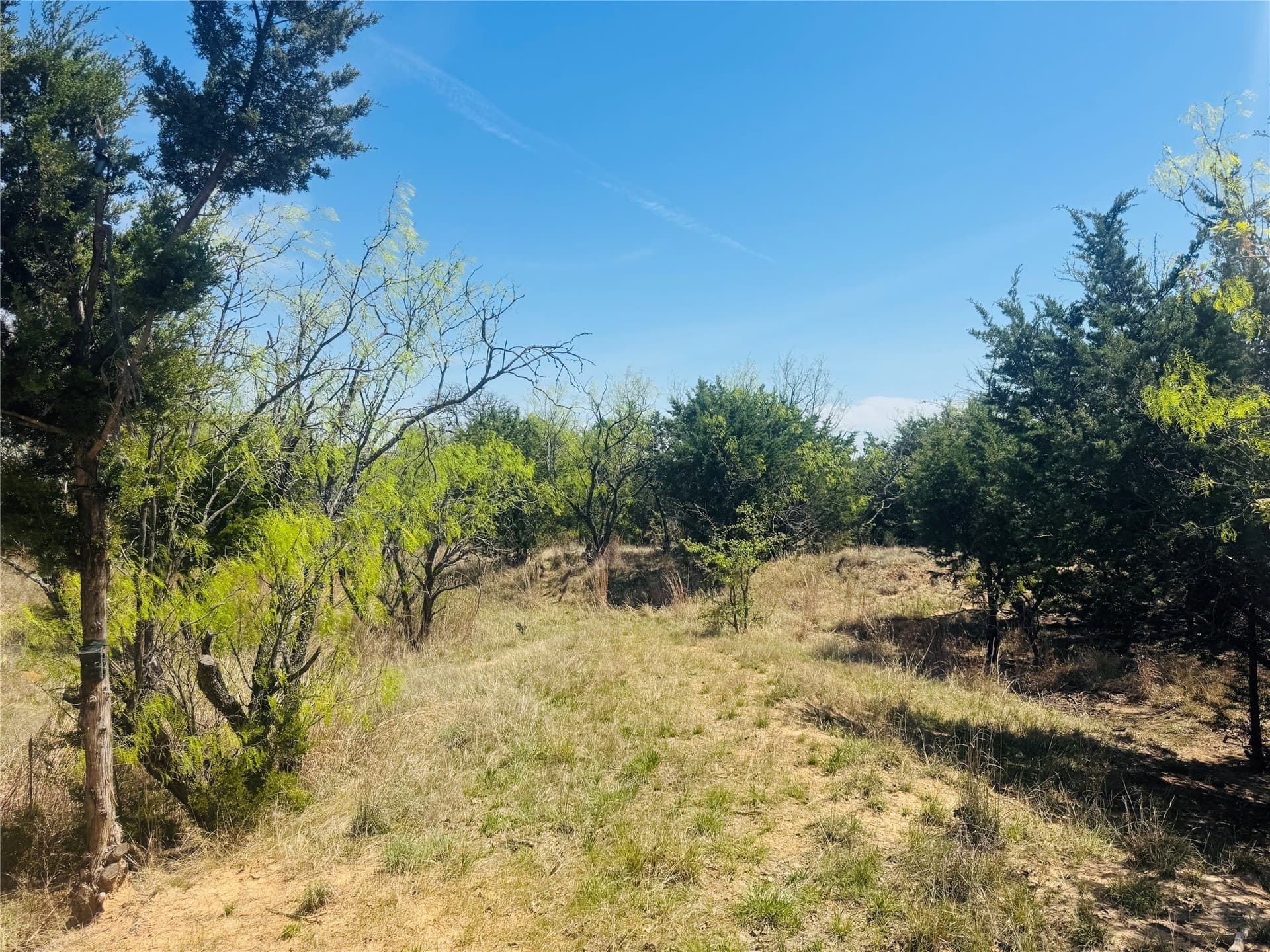 13.75 acres in Eastland County - photo 6
