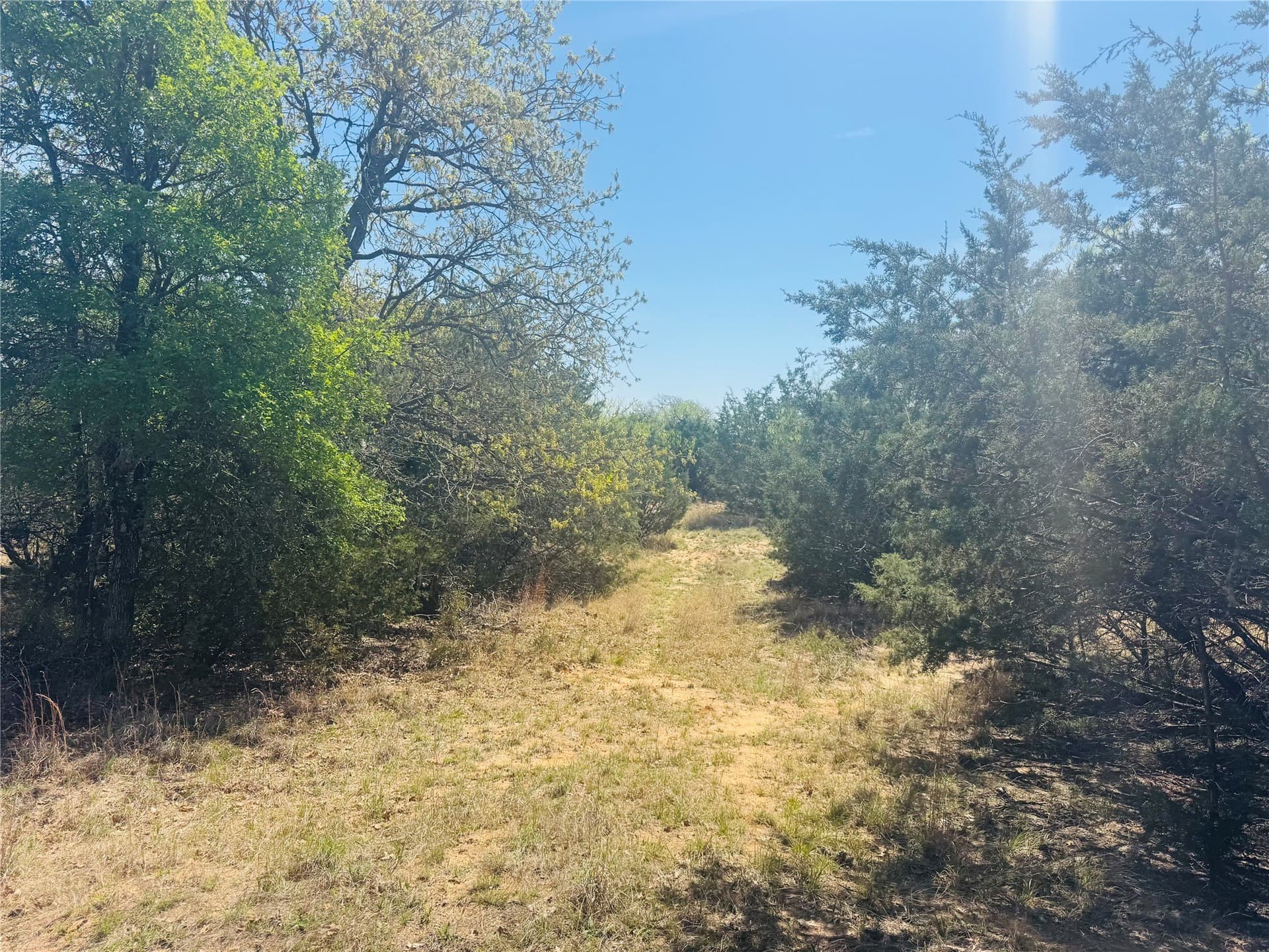 13.75 acres in Eastland County - photo 7