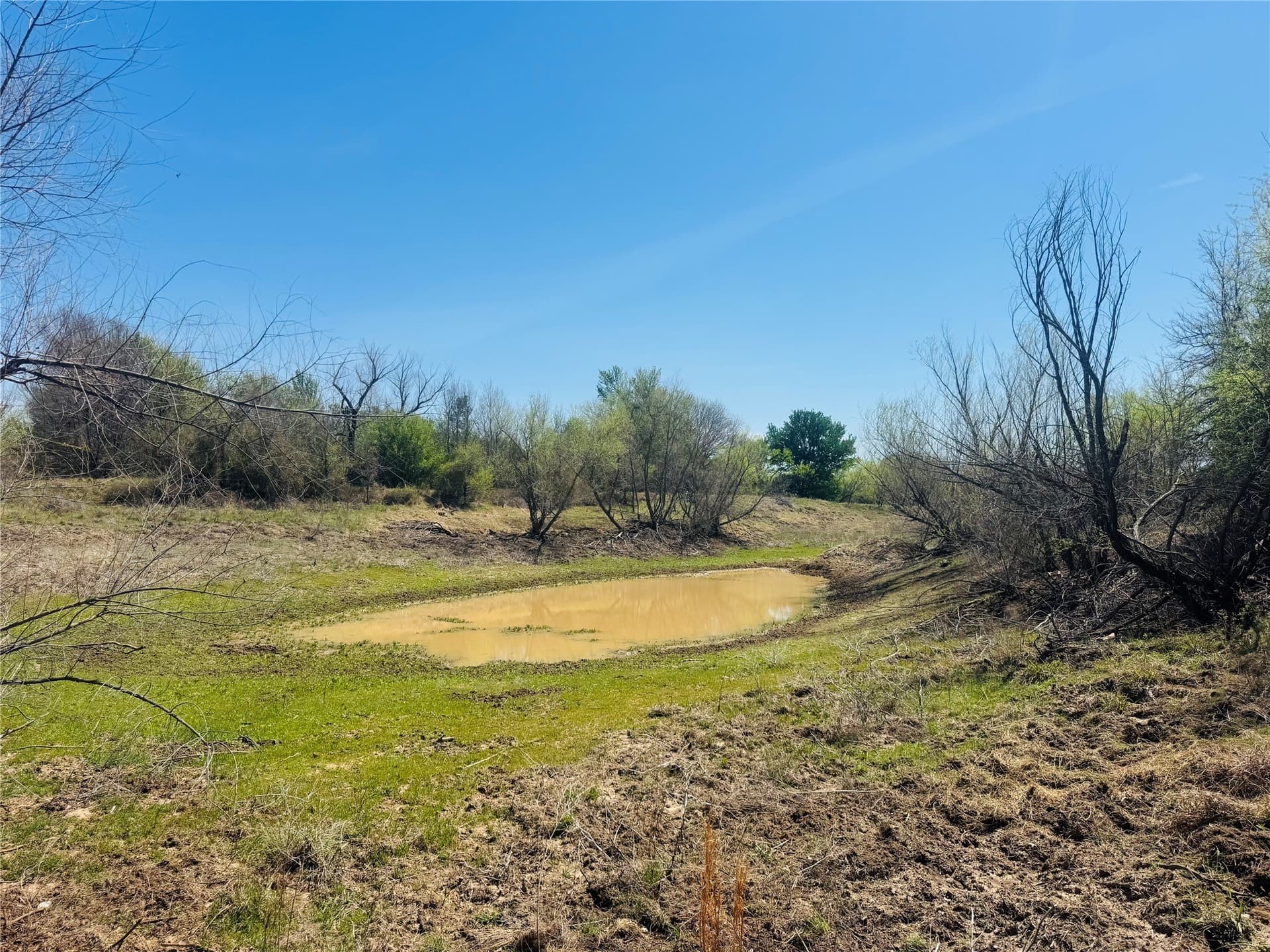 13.75 acres in Eastland County gallery image 2