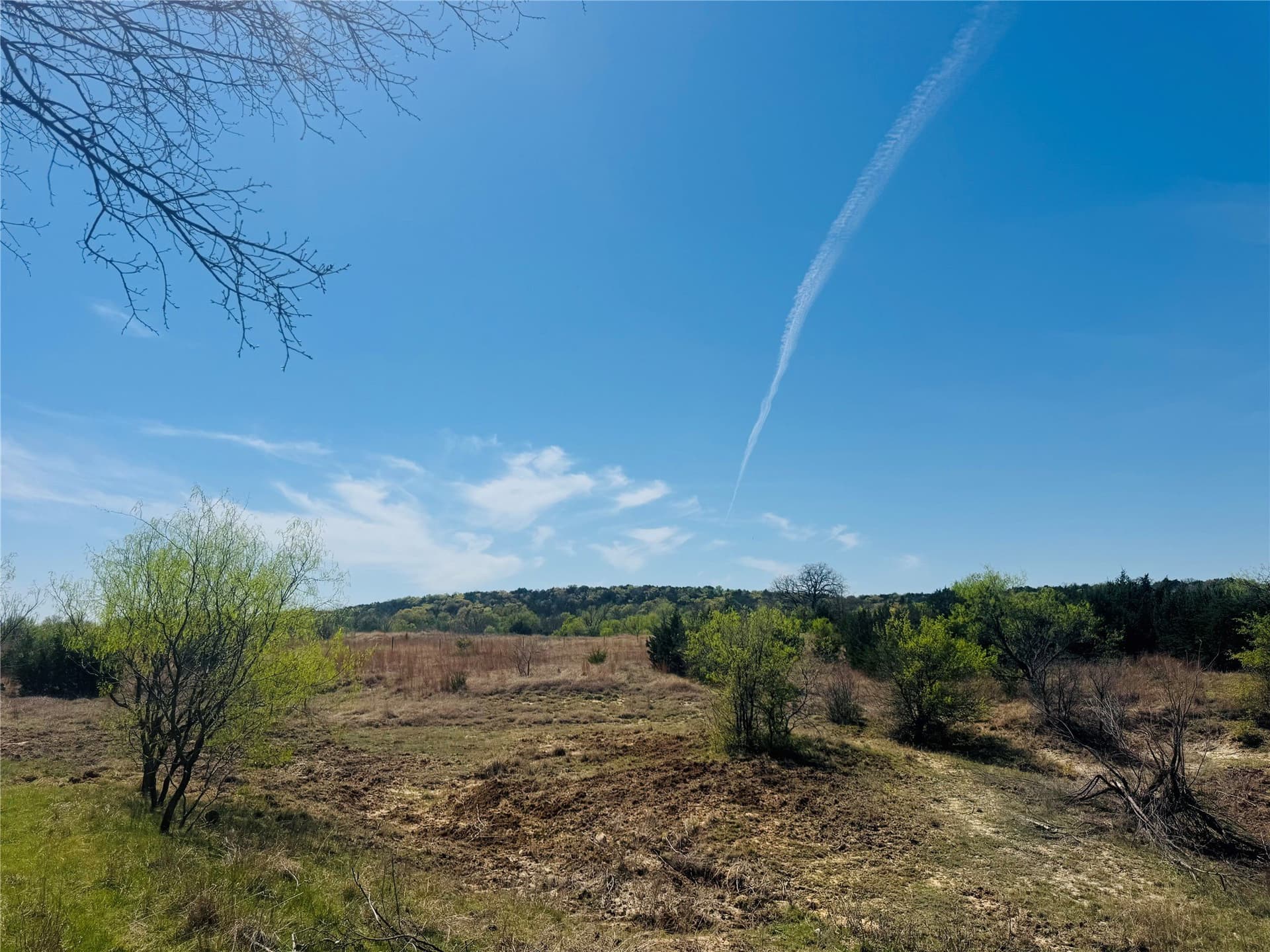 13.75 acres in Eastland County - photo 10