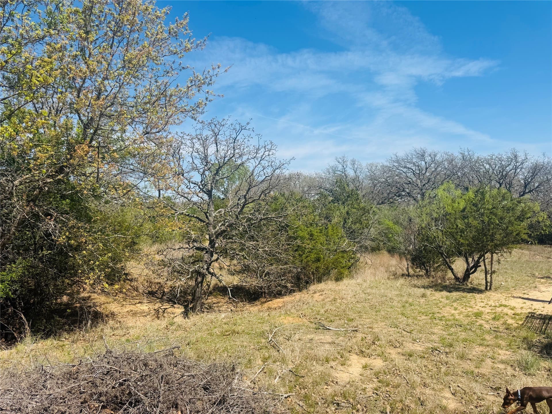 13.75 acres in Eastland County - photo 8