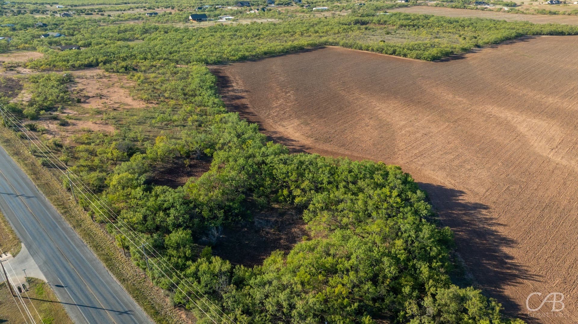 48.87 acres in Taylor County gallery image 4