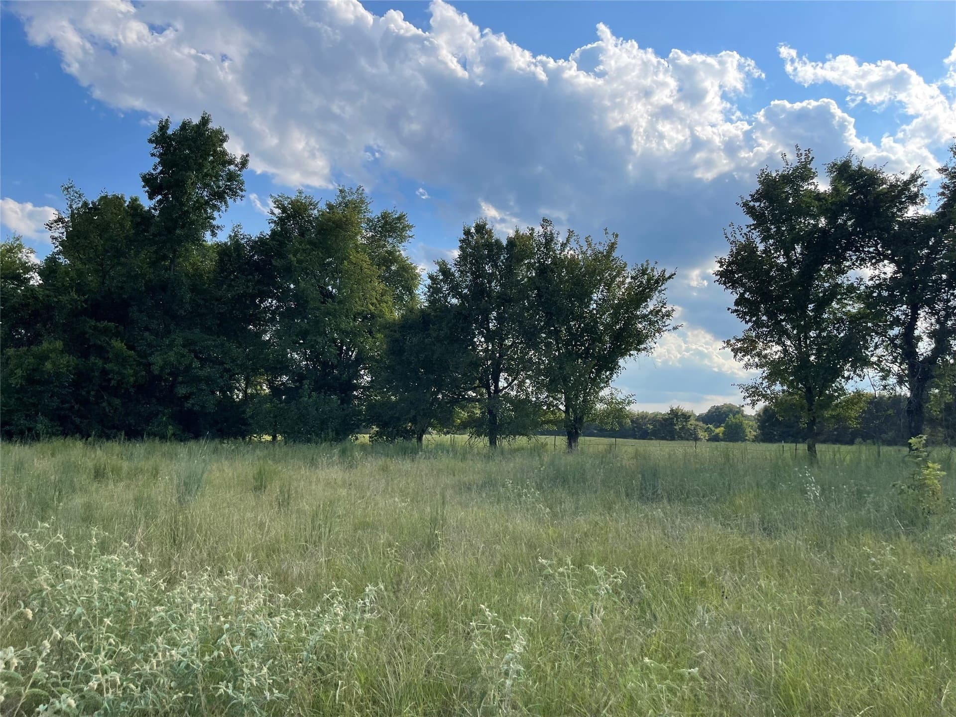 1.02 acres in Rains County - photo 2