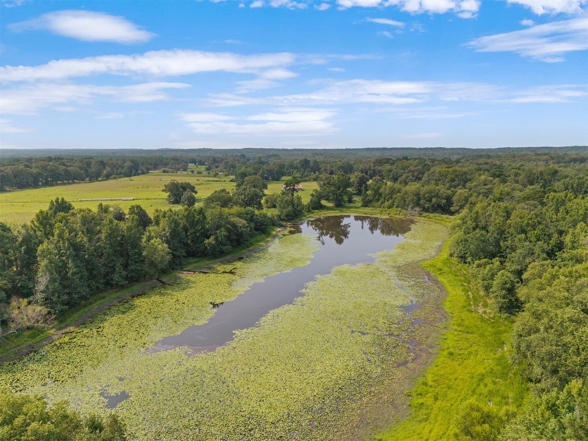 94.13 acres in Wood County - photo 30