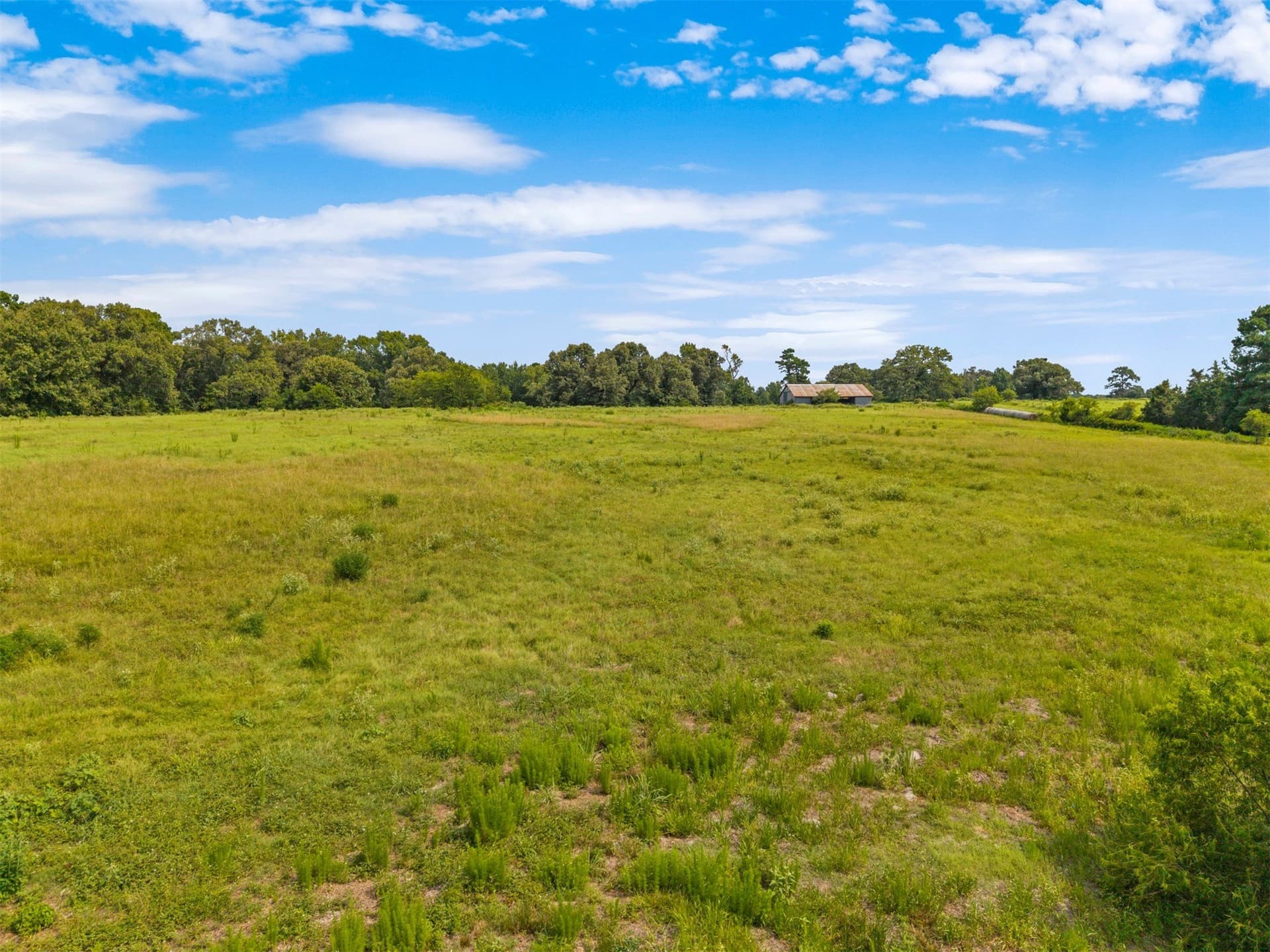 94.13 acres in Wood County - photo 38