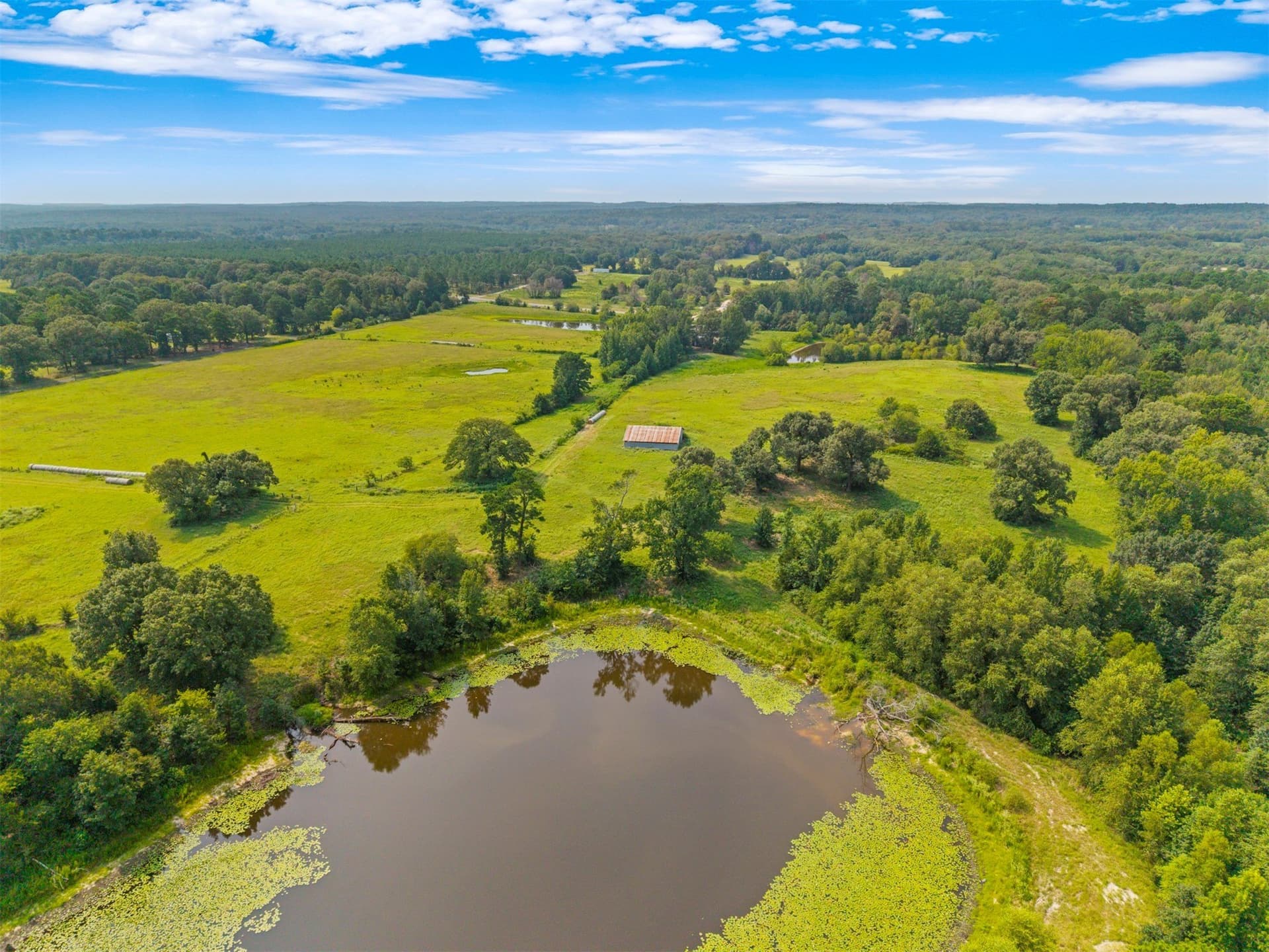 94.13 acres in Wood County - photo 2