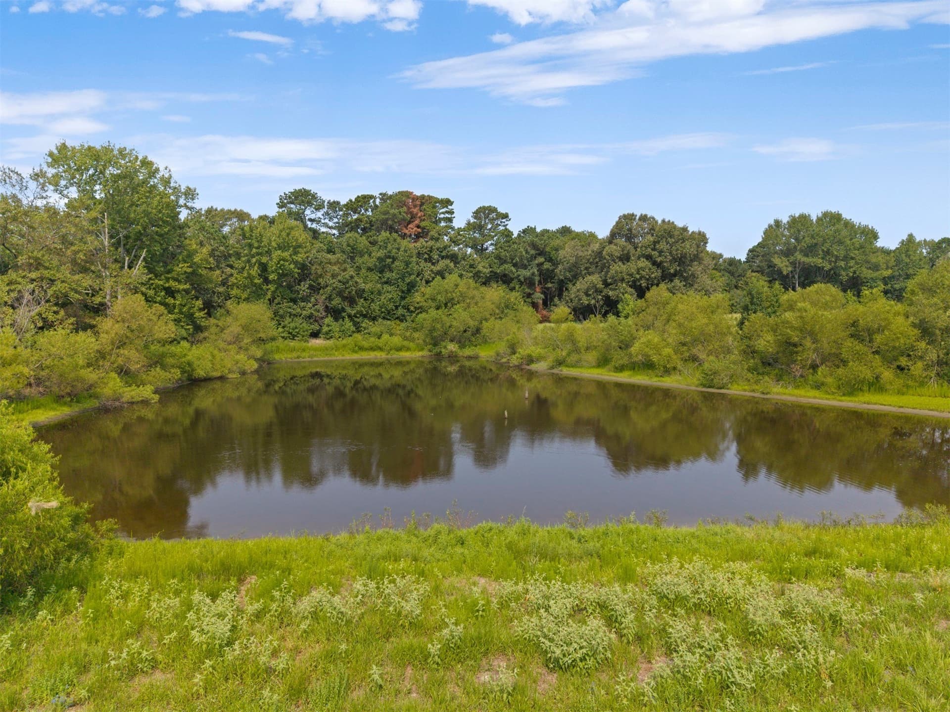 94.13 acres in Wood County - photo 37