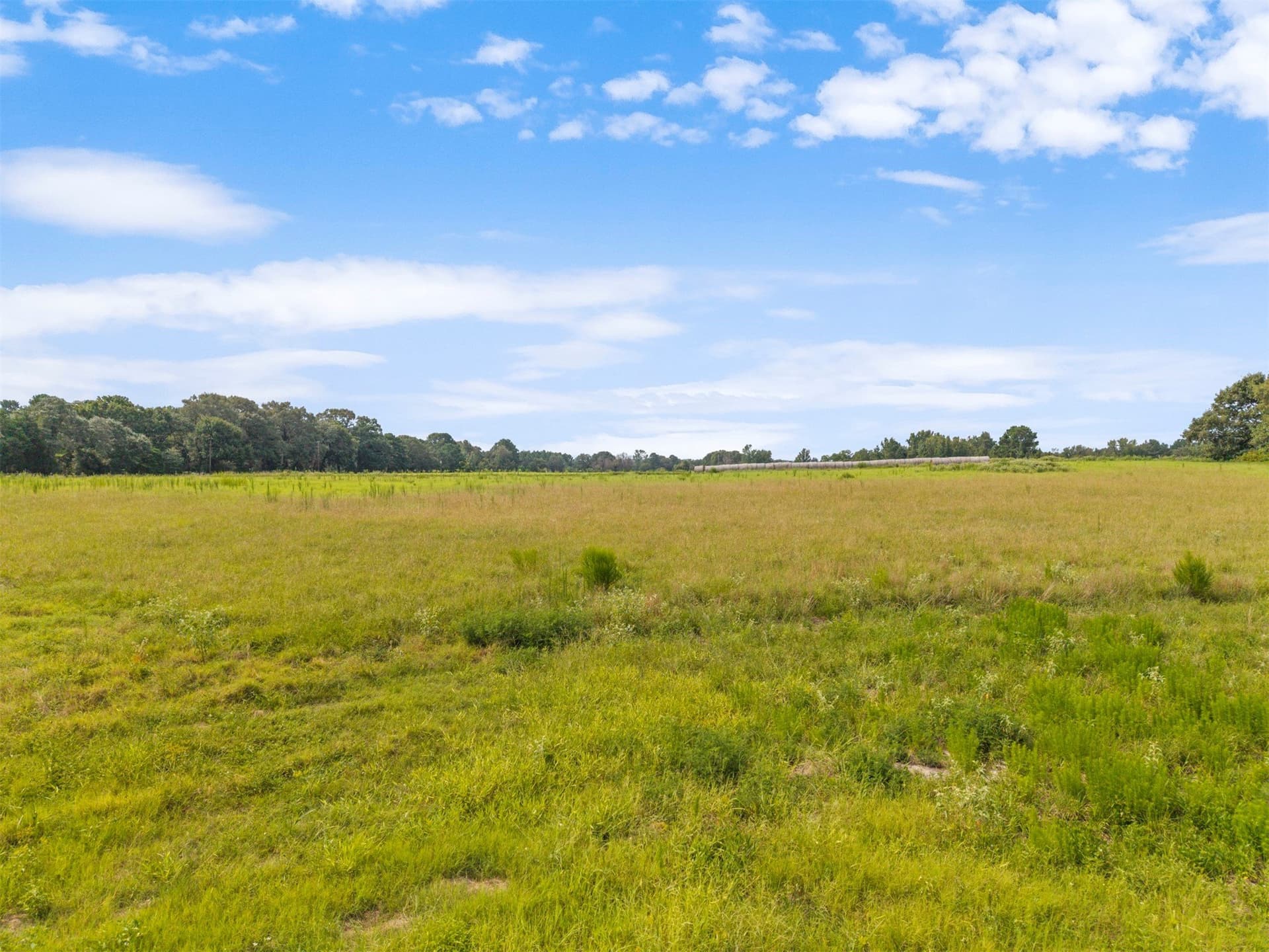 94.13 acres in Wood County - photo 39