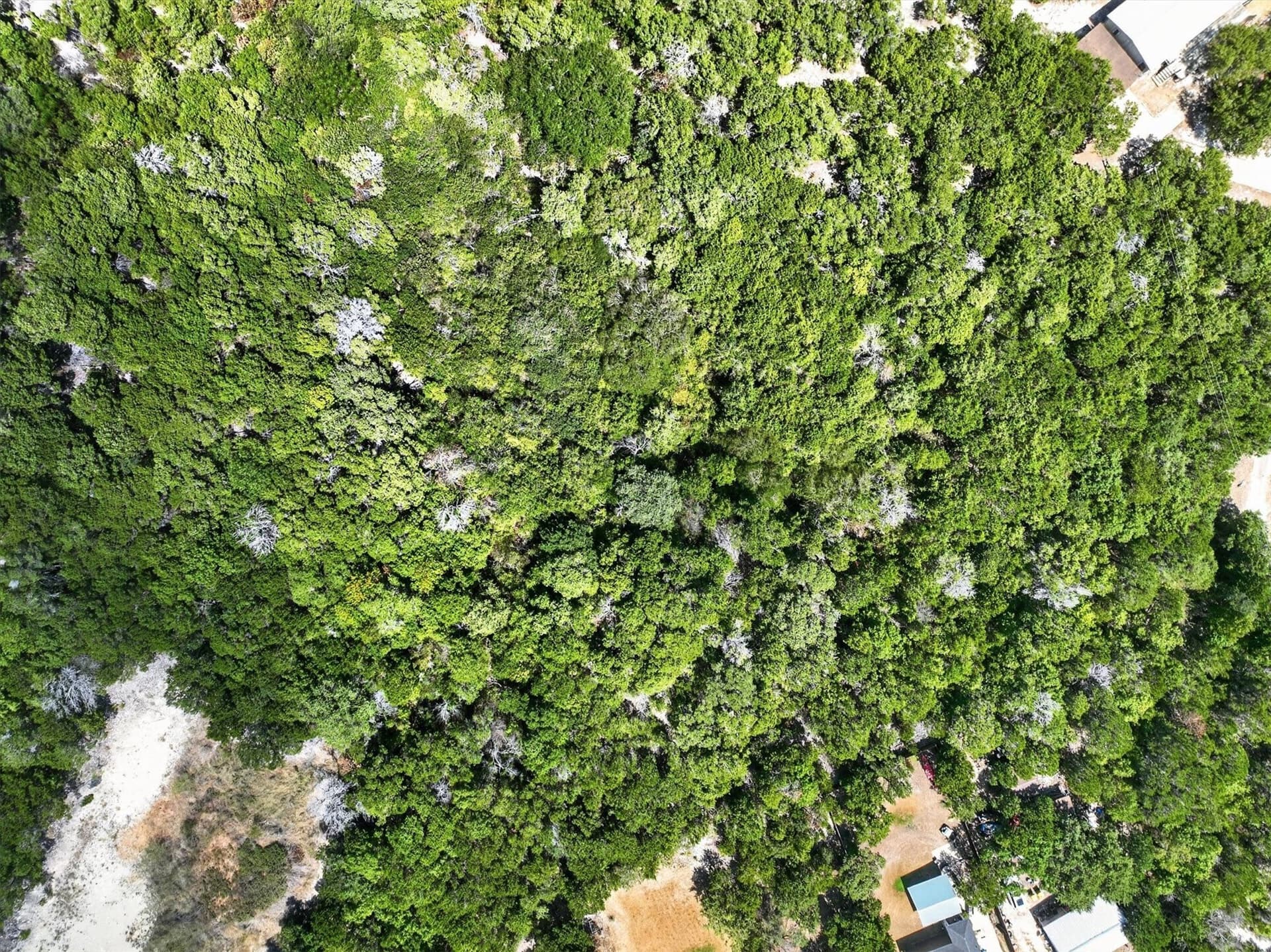 1.26 acres in Johnson County - photo 10