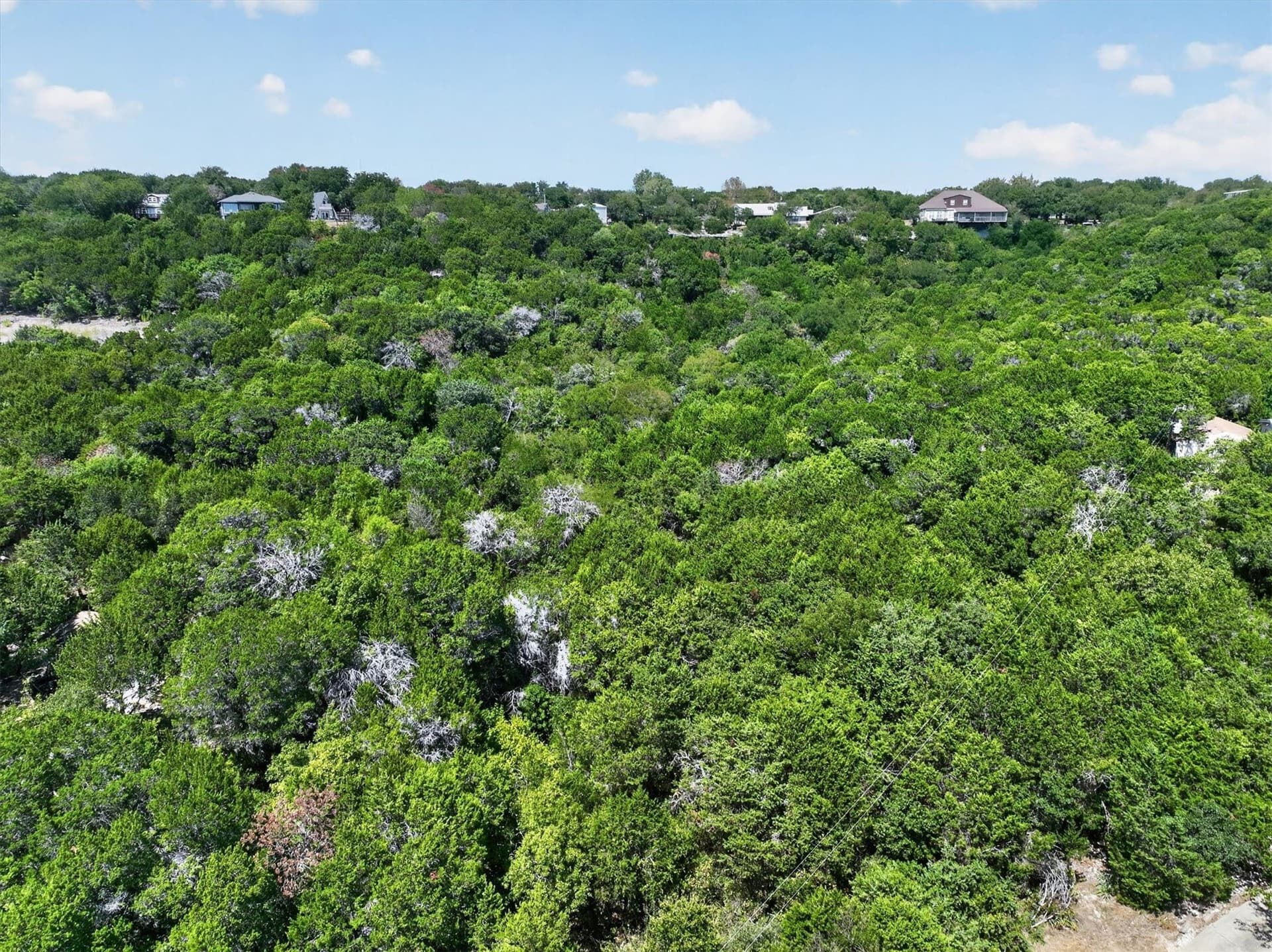 1.26 acres in Johnson County - photo 9
