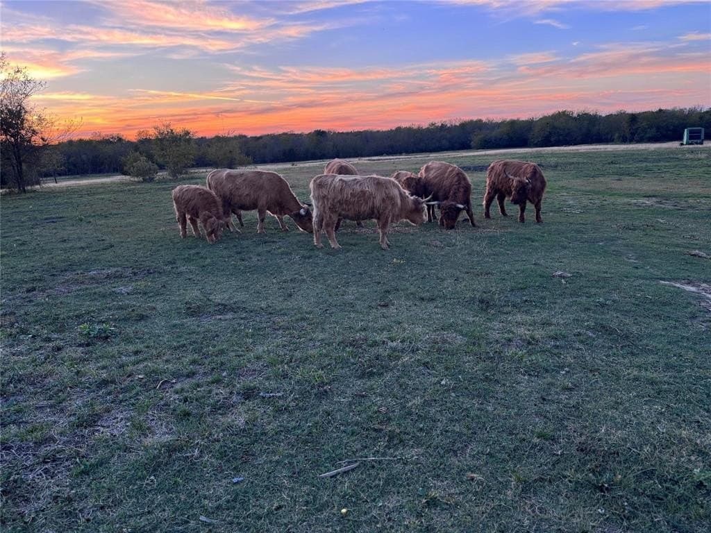 20 acres in Hunt County featured view