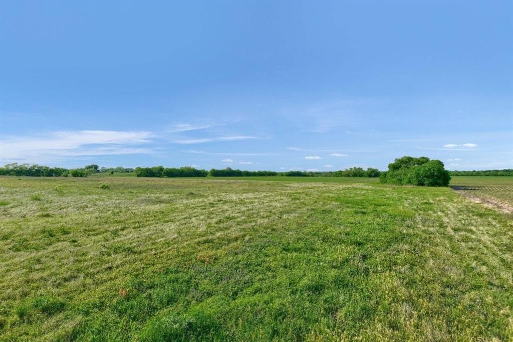 209 acres in Grayson County featured view