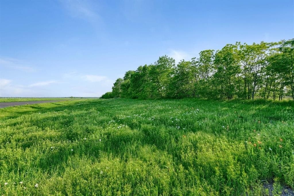 209 acres in Grayson County gallery image 3