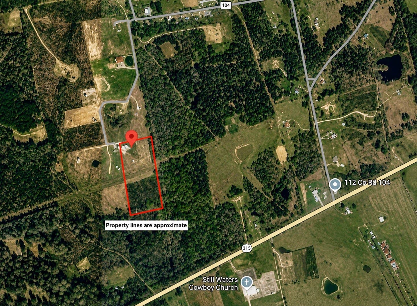 10 acres in Panola County gallery image 2
