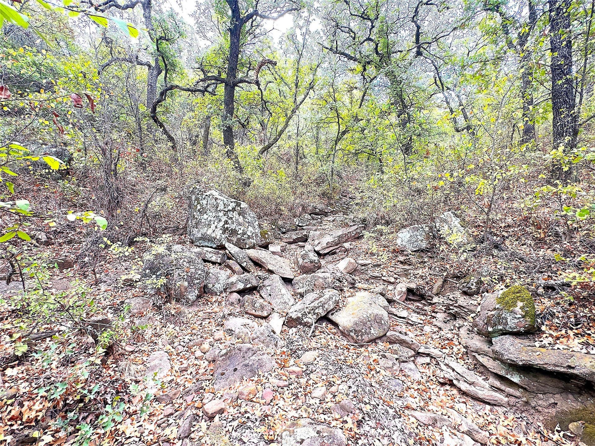 157 acres in Jack County - photo 25