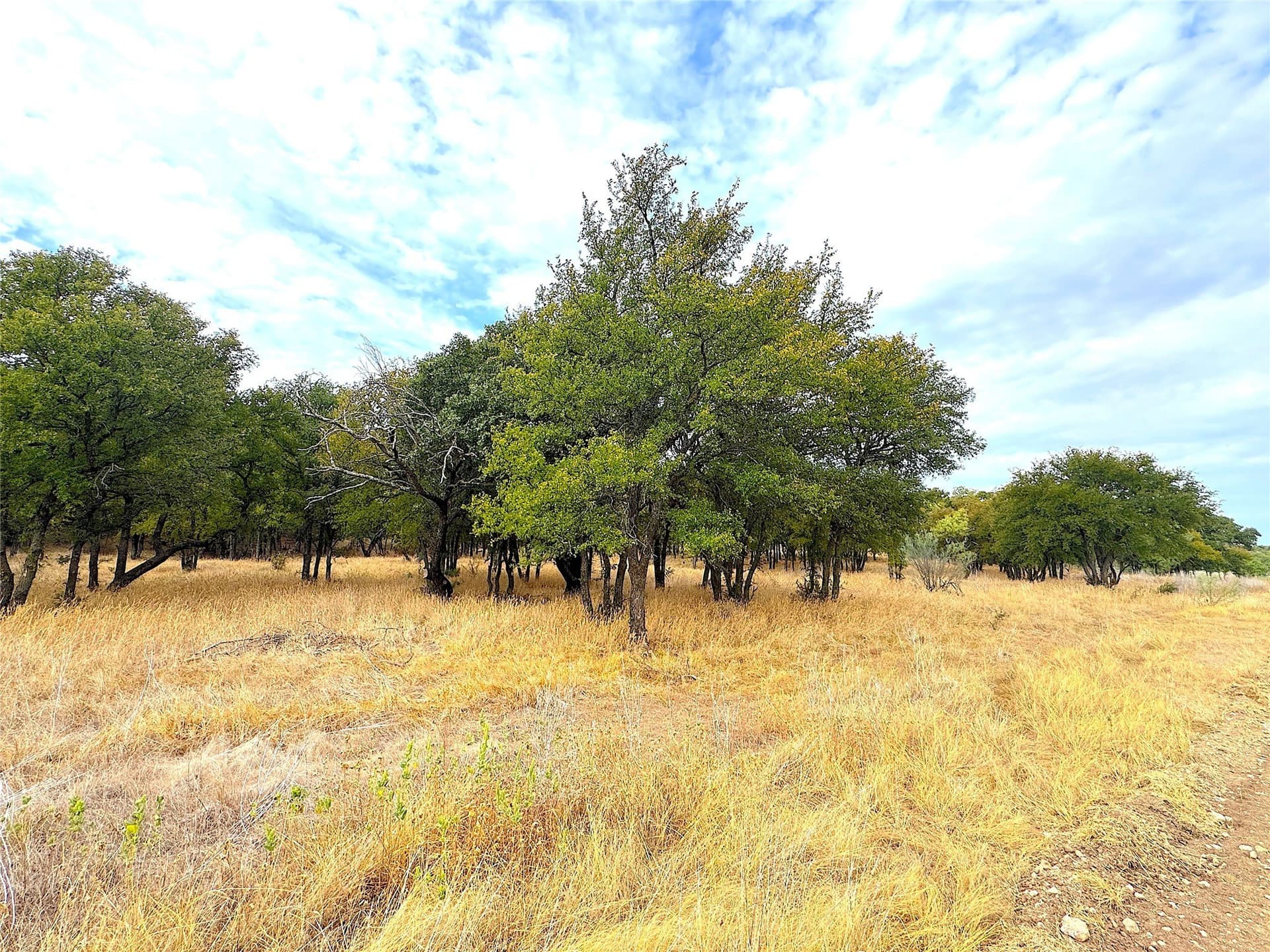 157 acres in Jack County - photo 12