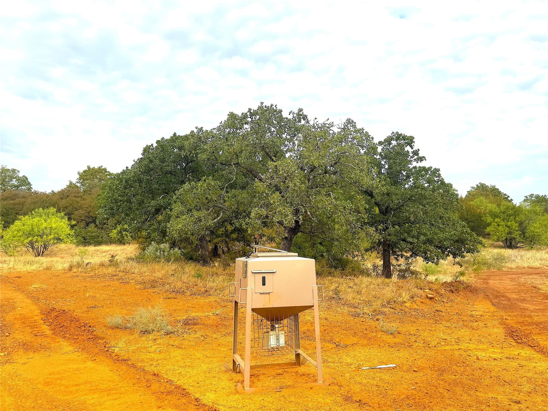 157 acres in Jack County - photo 5