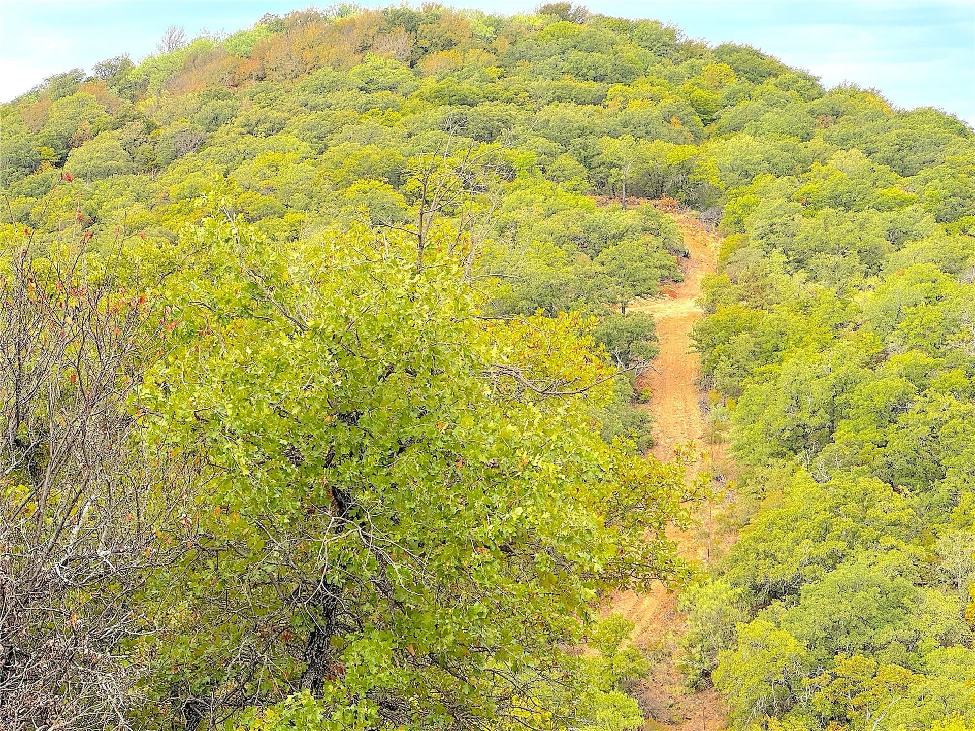 157 acres in Jack County - photo 4