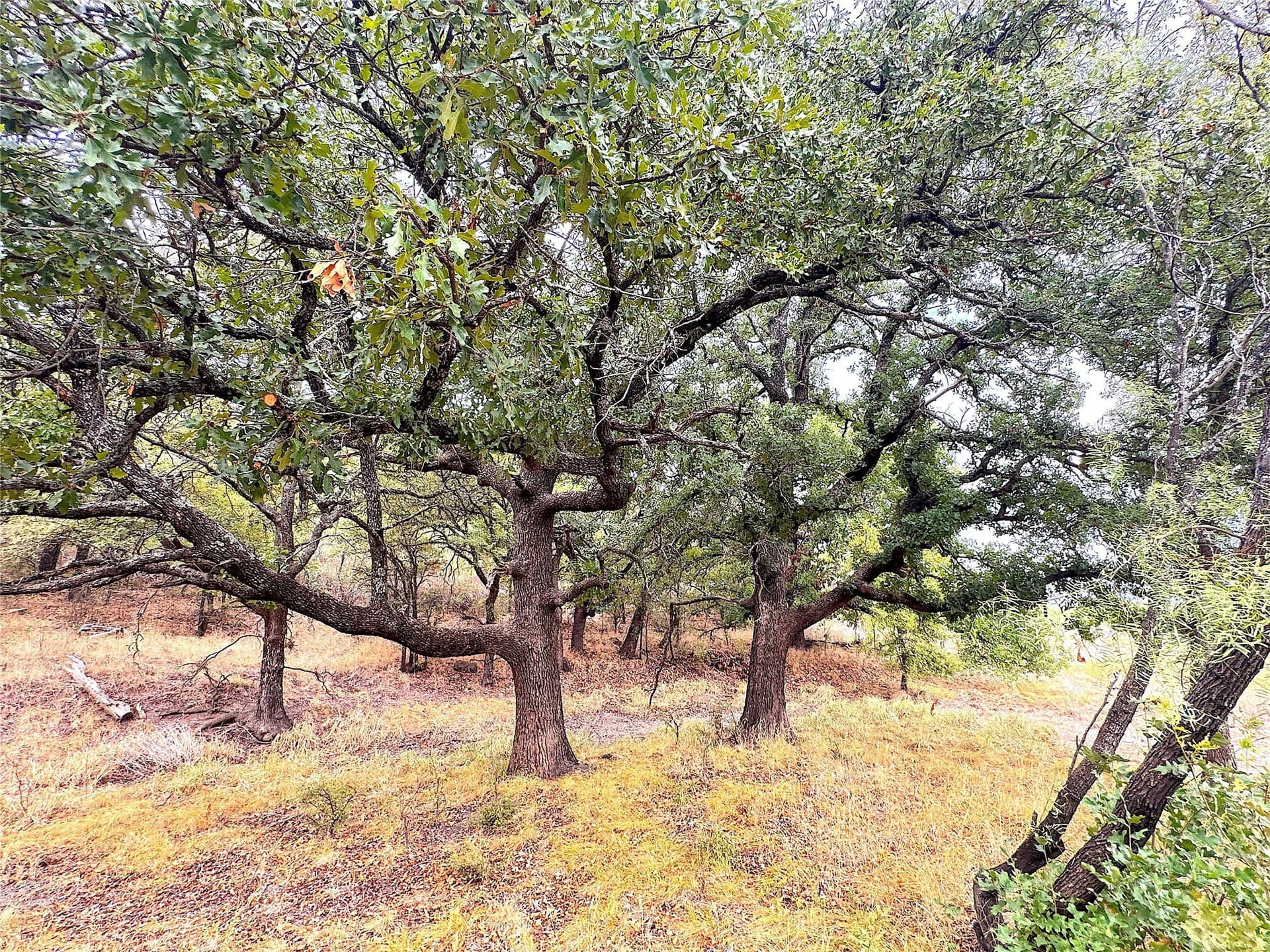 157 acres in Jack County - photo 23