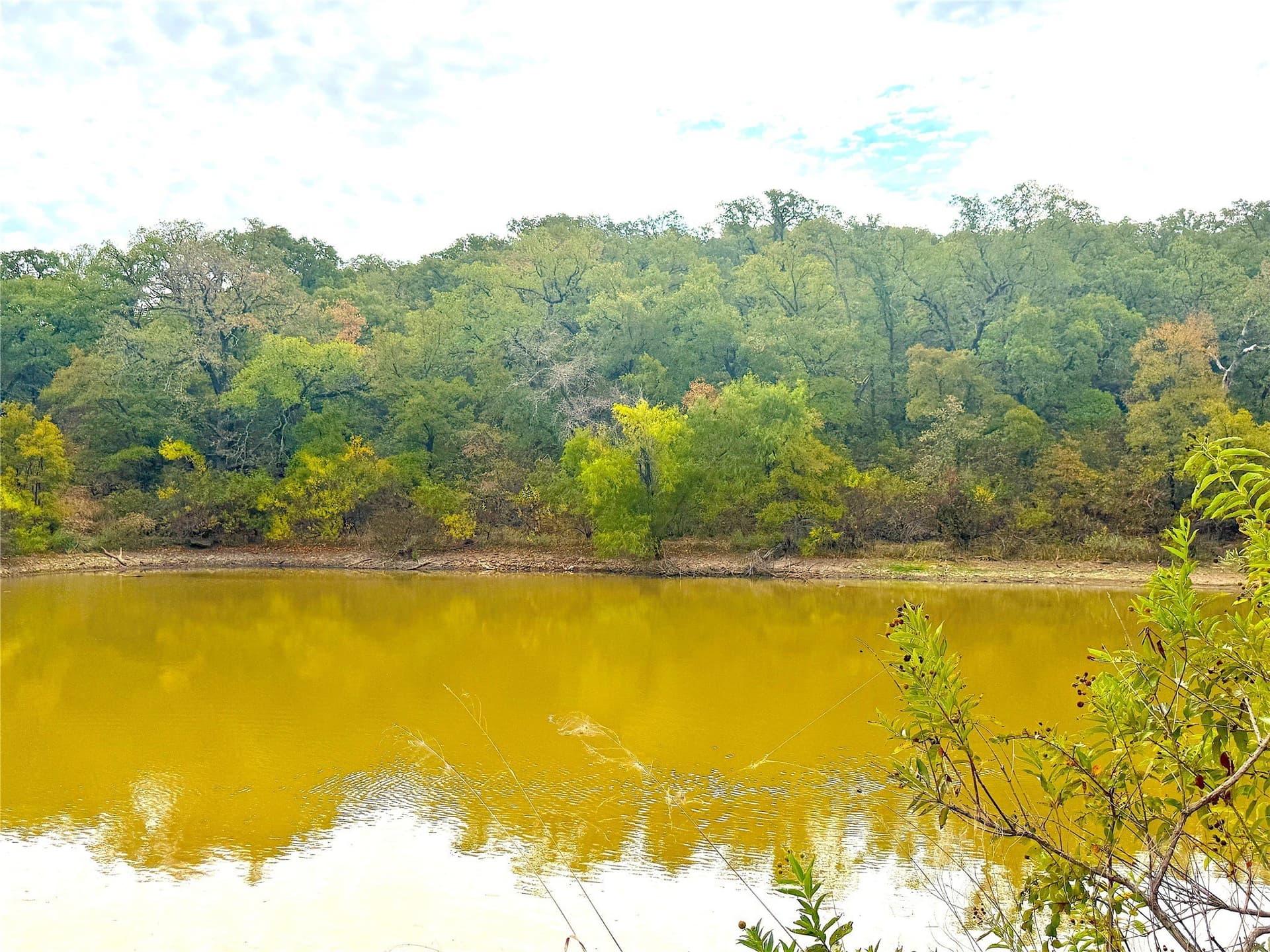157 acres in Jack County - photo 14