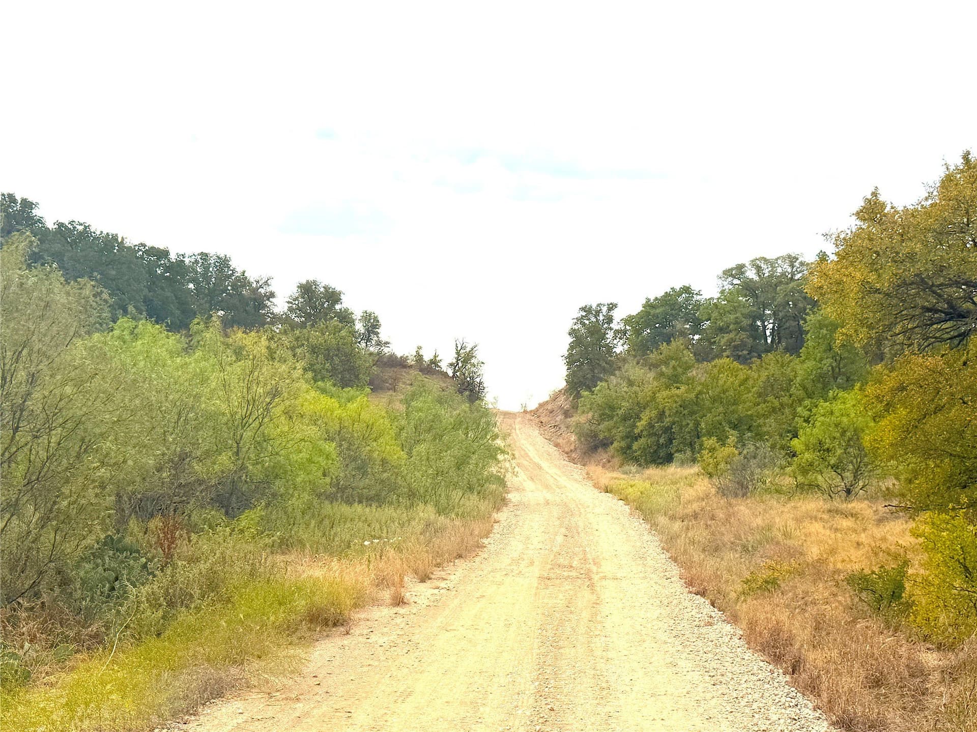 157 acres in Jack County - photo 30
