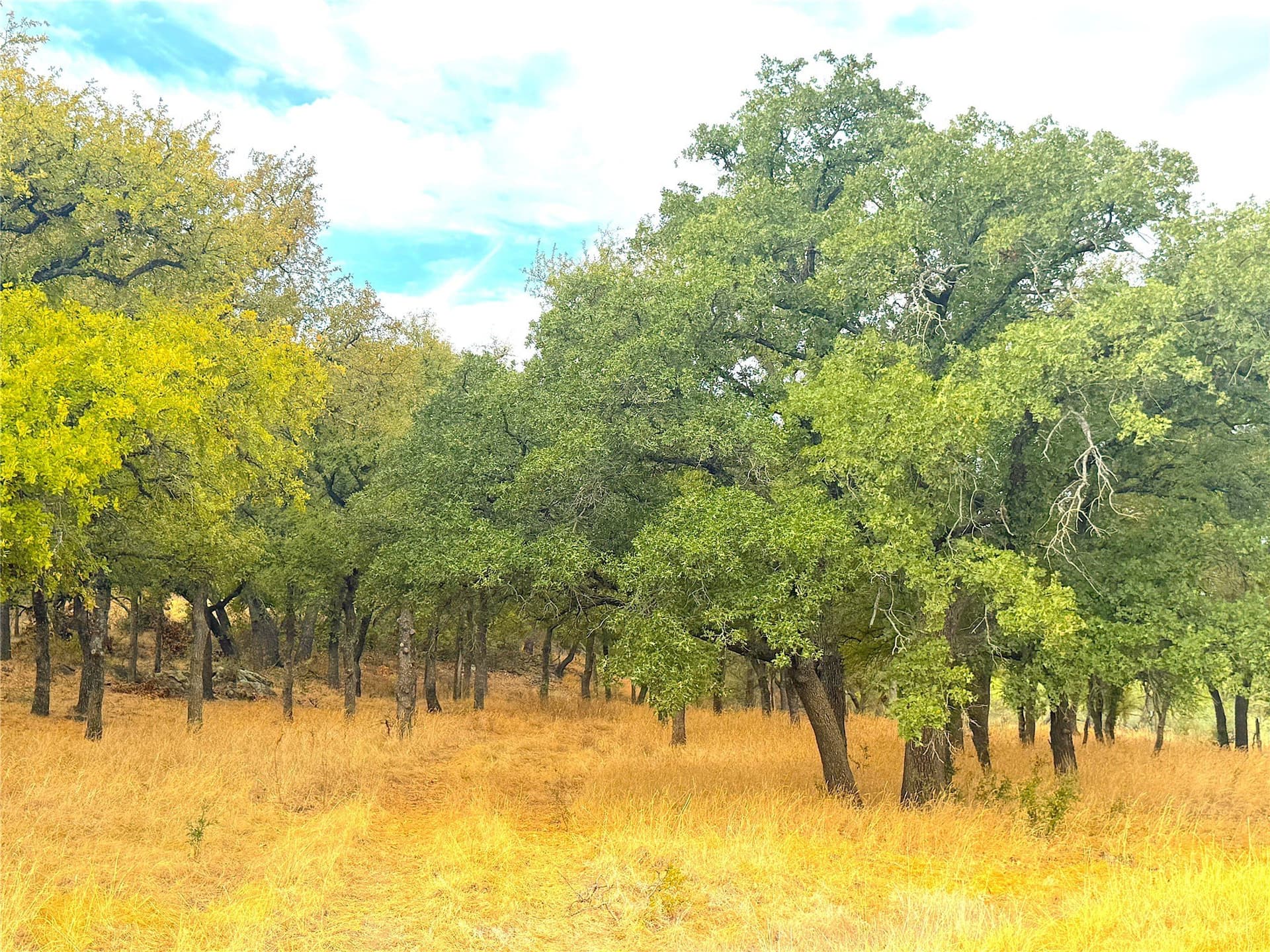 157 acres in Jack County - photo 31