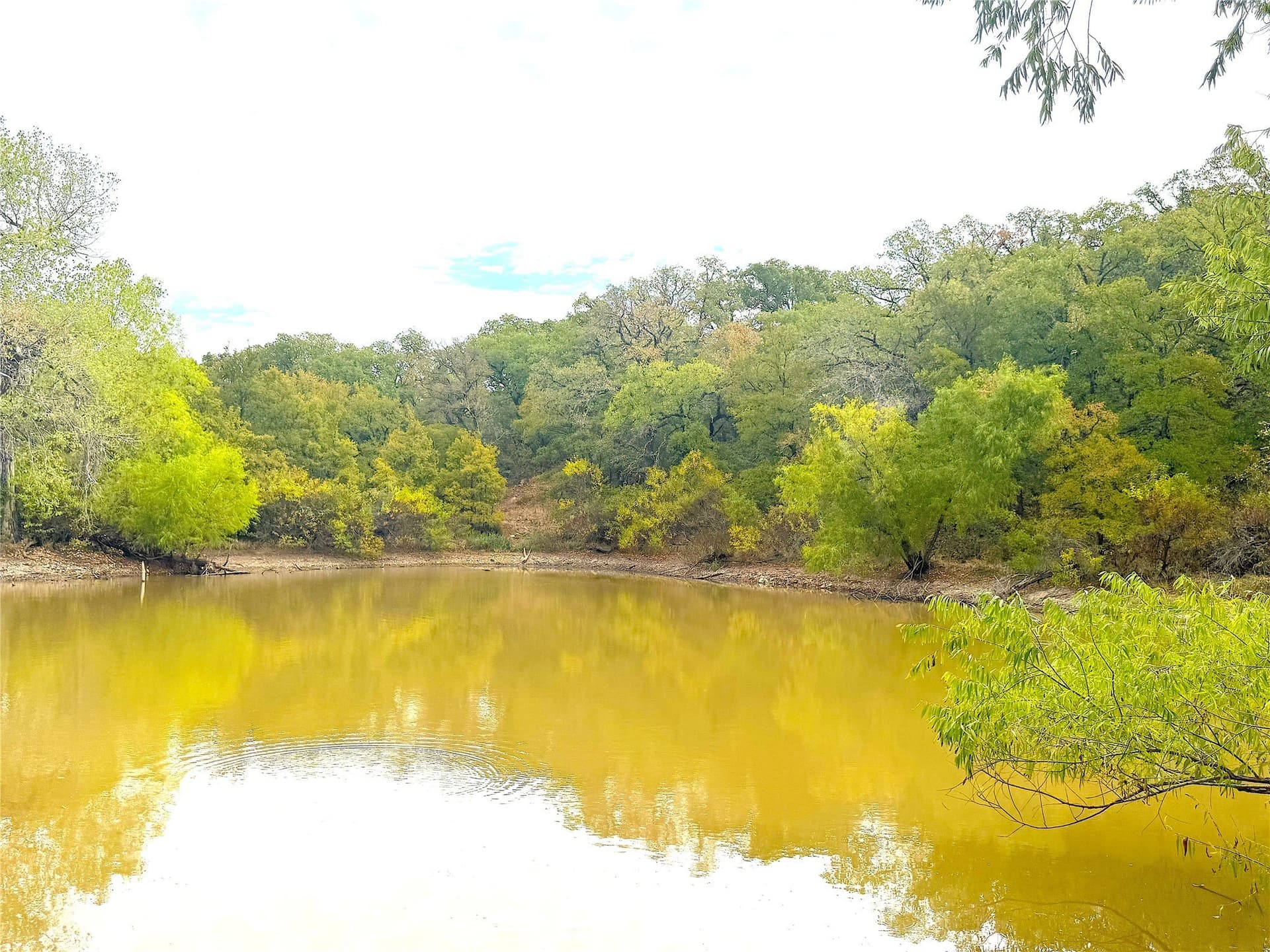 157 acres in Jack County - photo 28