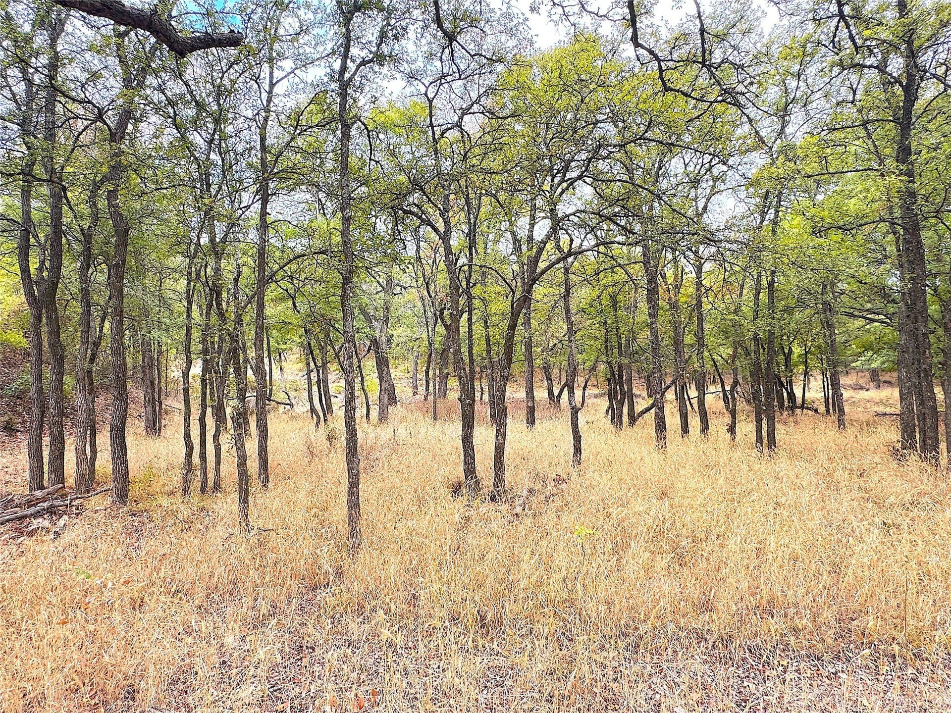 157 acres in Jack County - photo 18