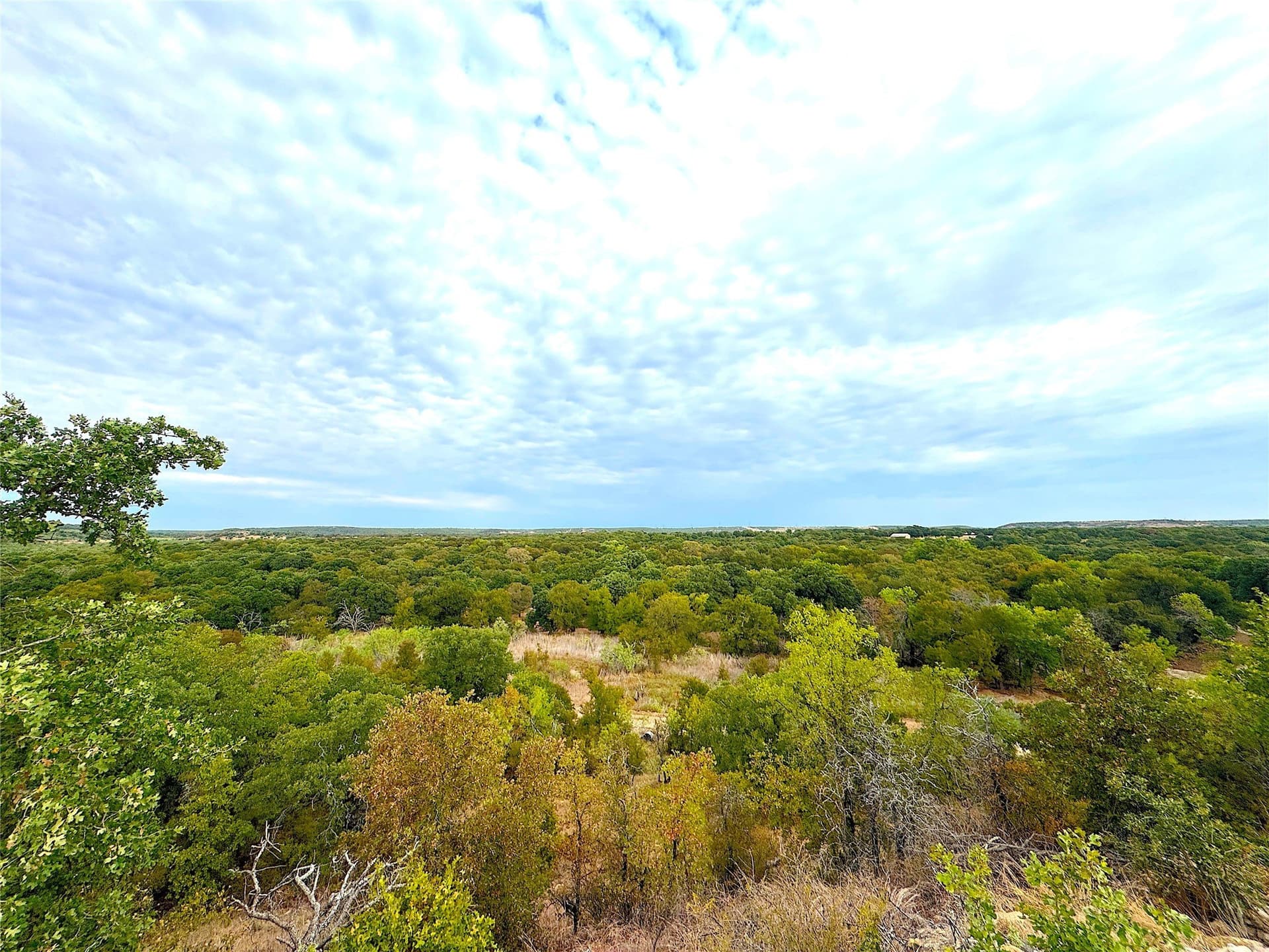 157 acres in Jack County - photo 15