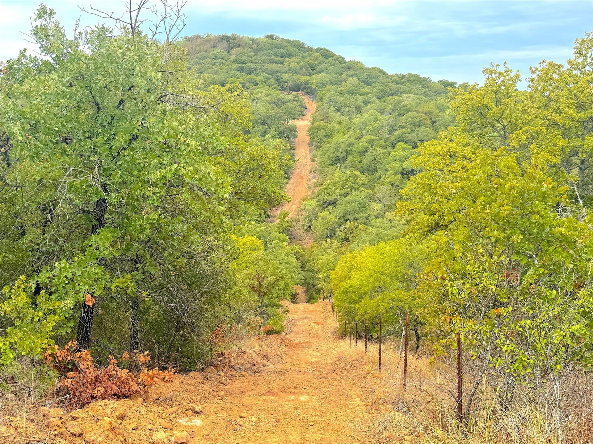 157 acres in Jack County - photo 16
