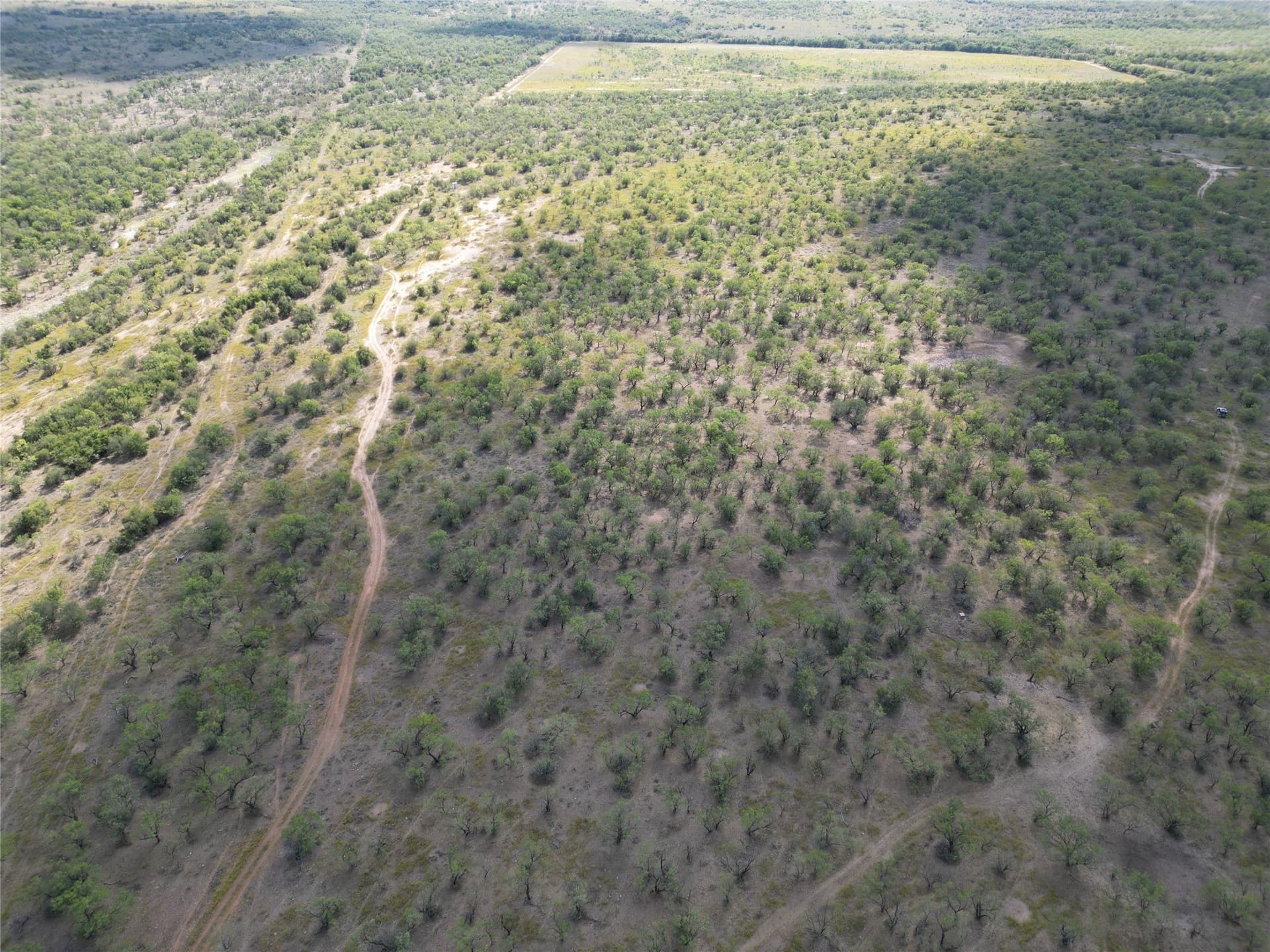 27 acres in Callahan County - photo 3
