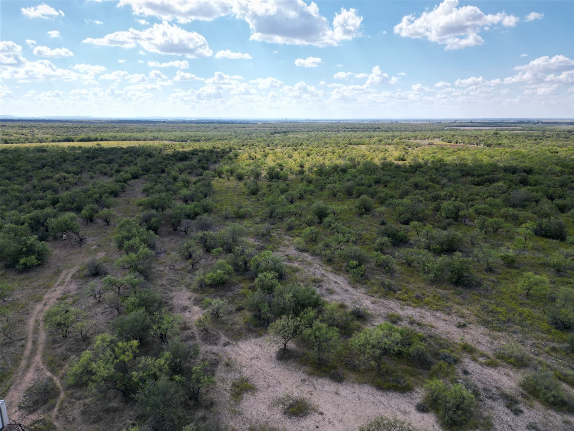 27 acres in Callahan County - photo 8