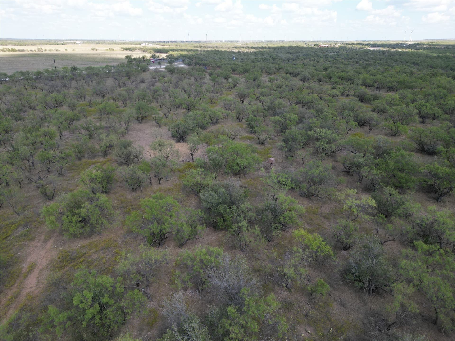 27 acres in Callahan County - photo 7