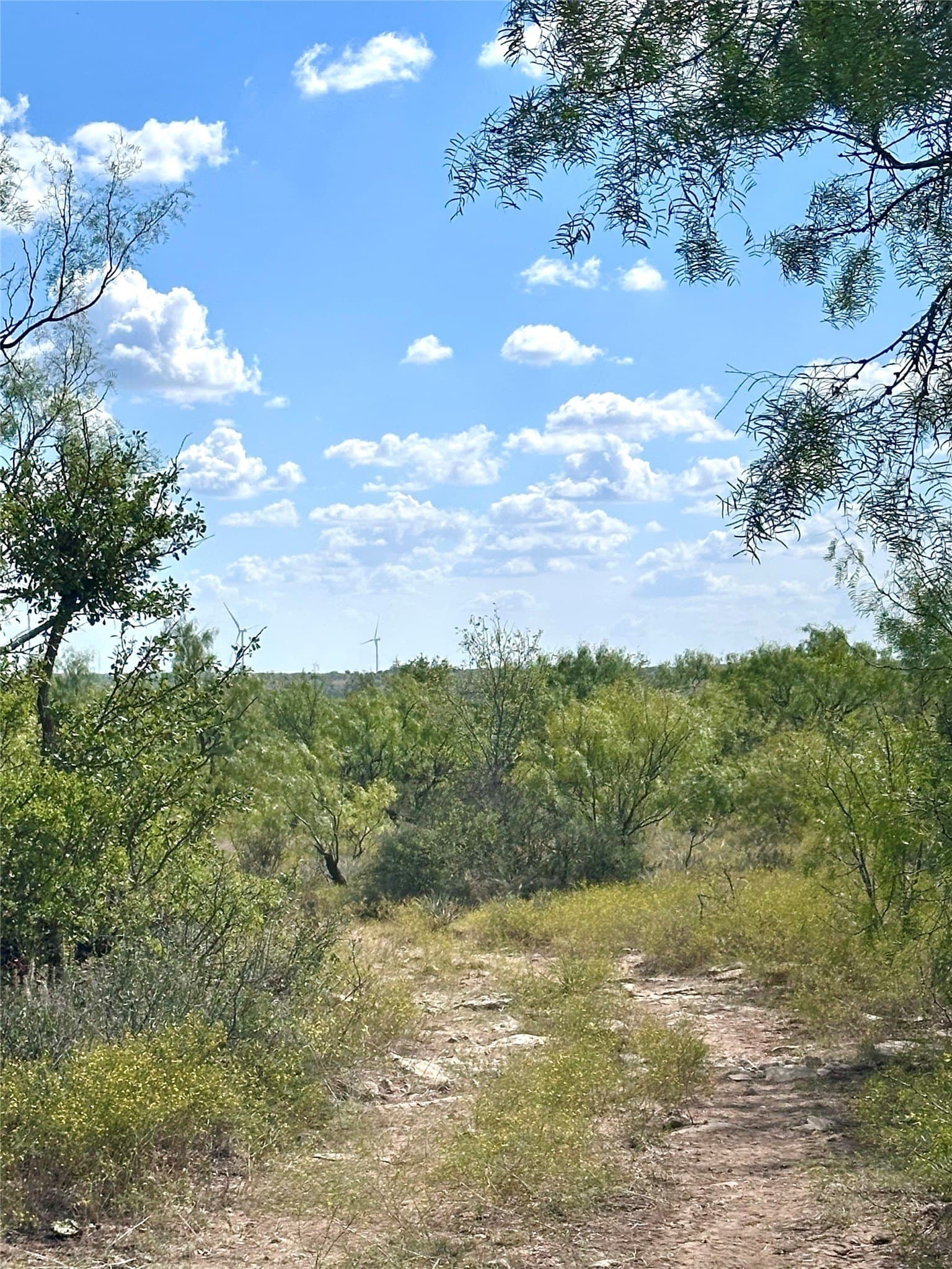 27 acres in Callahan County - photo 2