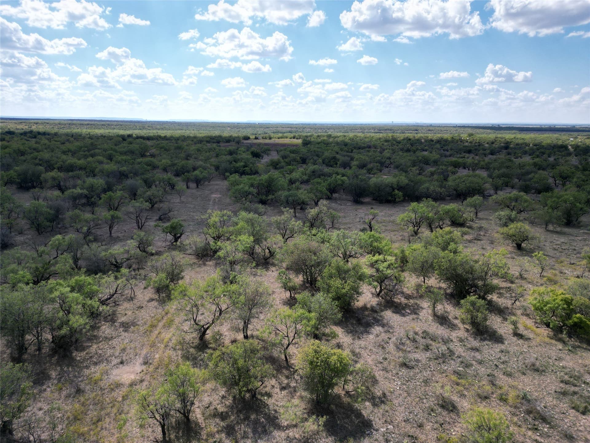 27 acres in Callahan County - photo 6