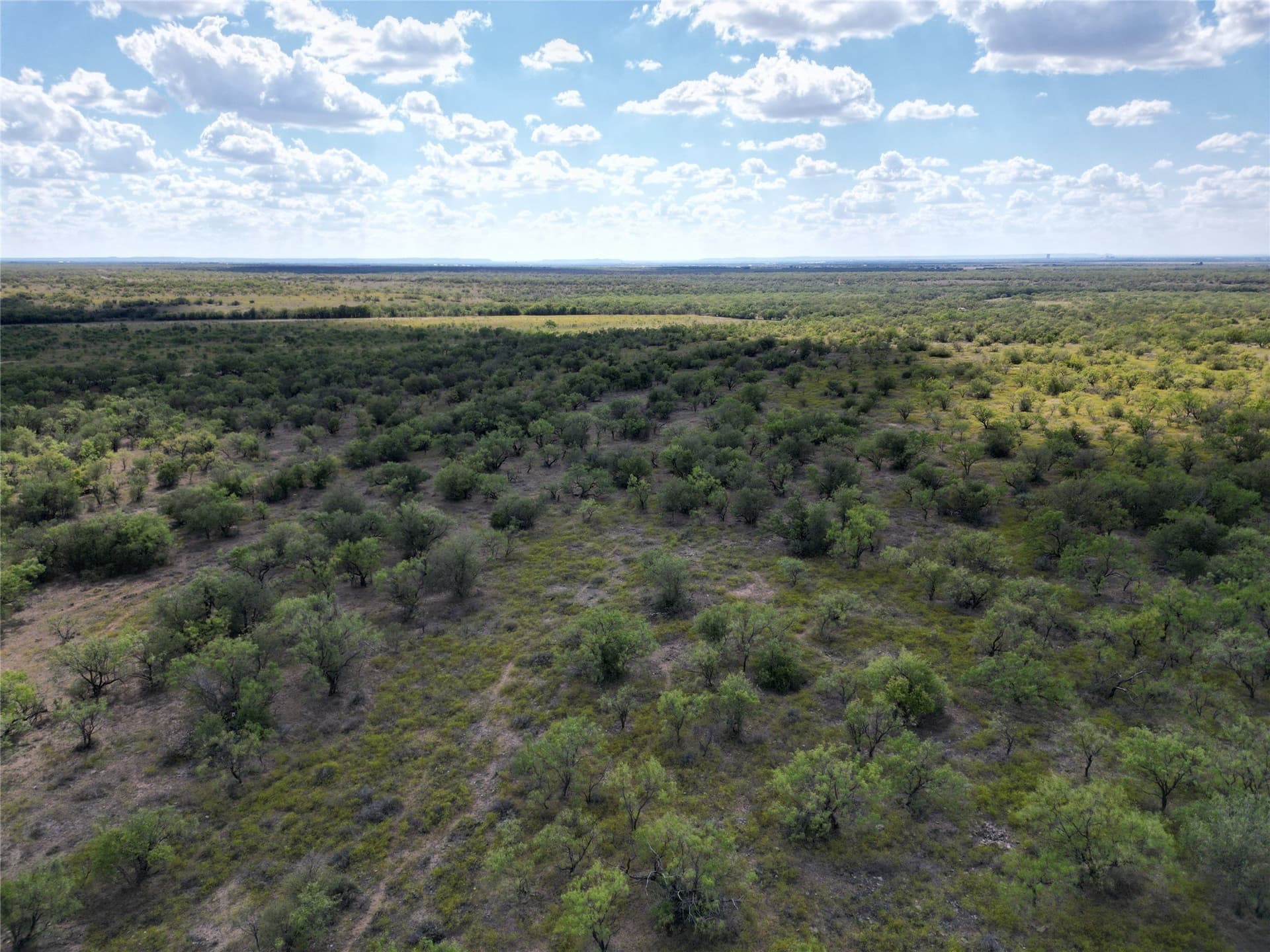 27 acres in Callahan County - photo 9