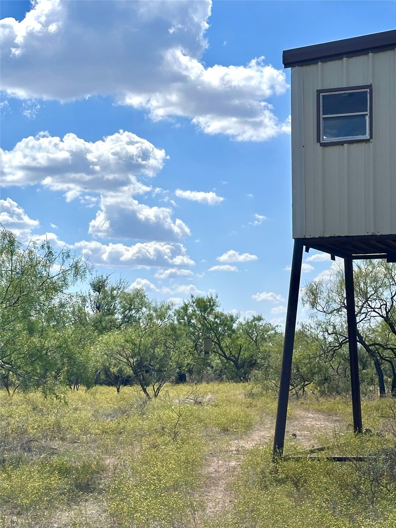 27 acres in Callahan County