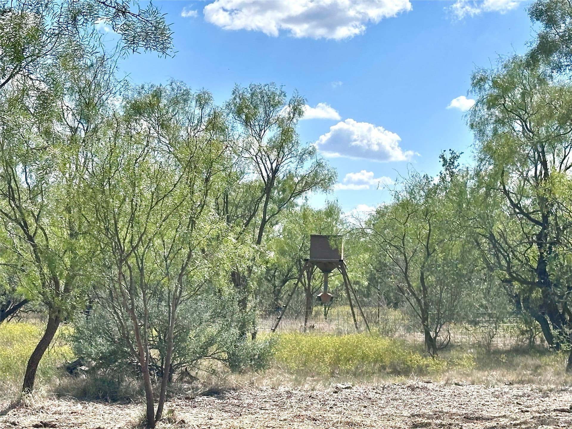 27 acres in Callahan County - photo 4