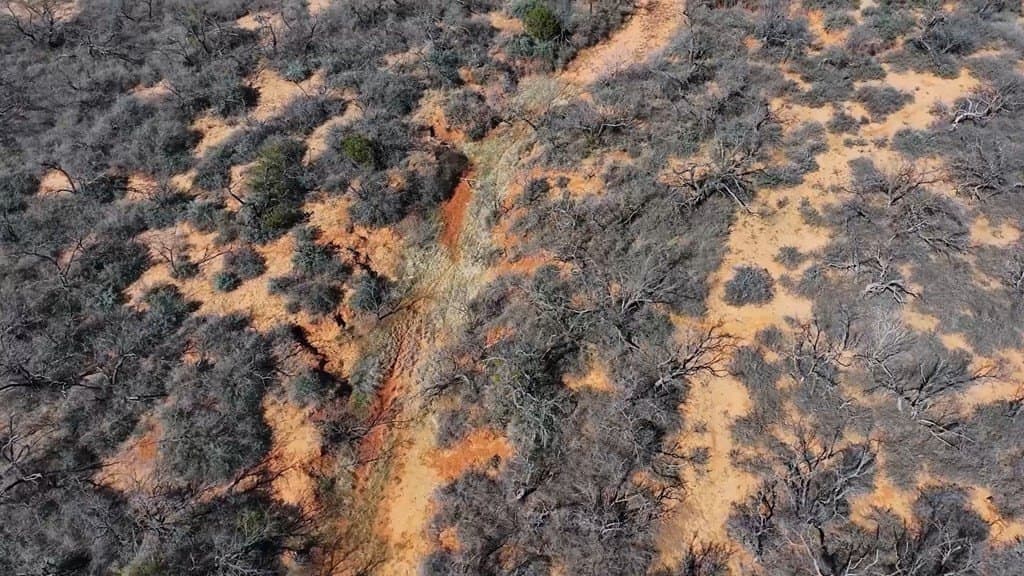 258.91 acres in Coke County gallery image 3