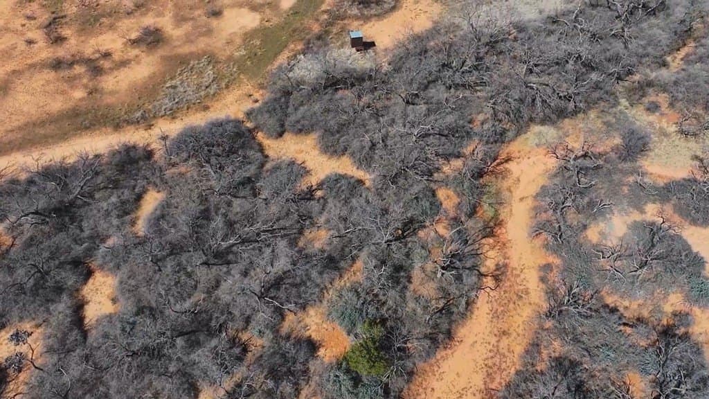 258.91 acres in Coke County gallery image 2