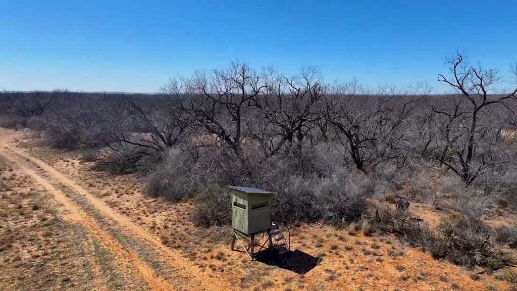 258.91 acres in Coke County featured view