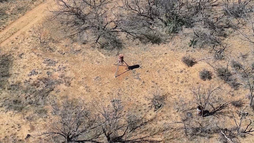 258.91 acres in Coke County gallery image 4