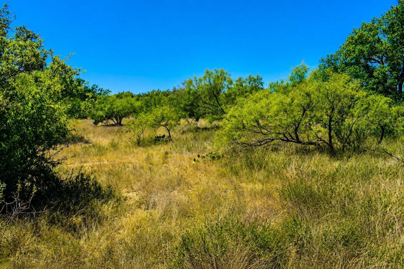 29.65 acres in Menard County - photo 14
